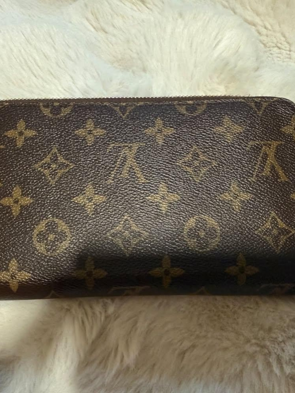 Louis Vuitton Monogram Canvas Zip Wallet
